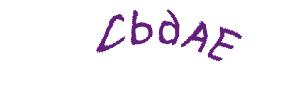 عبارت امنیتی