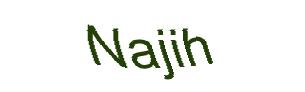عبارت امنیتی