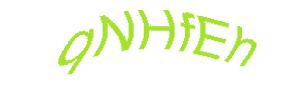 عبارت امنیتی