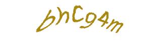 عبارت امنیتی