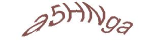 عبارت امنیتی