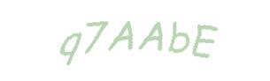 عبارت امنیتی