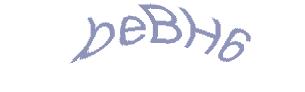 عبارت امنیتی