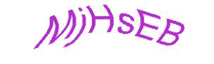 عبارت امنیتی