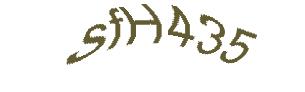عبارت امنیتی