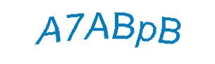 عبارت امنیتی
