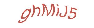عبارت امنیتی