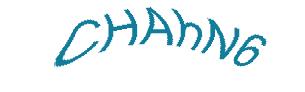 عبارت امنیتی