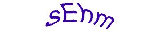 عبارت امنیتی
