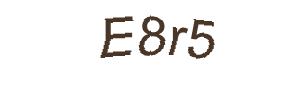 عبارت امنیتی