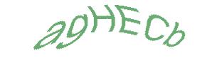 عبارت امنیتی
