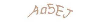 عبارت امنیتی