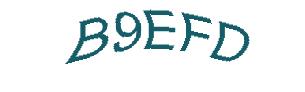 عبارت امنیتی