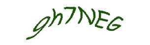 عبارت امنیتی