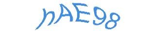 عبارت امنیتی