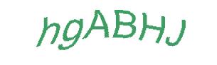 عبارت امنیتی