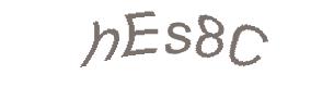 عبارت امنیتی