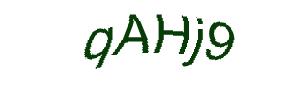 عبارت امنیتی