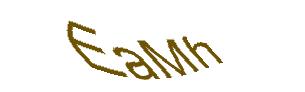 عبارت امنیتی