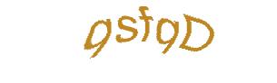 عبارت امنیتی
