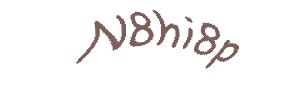عبارت امنیتی