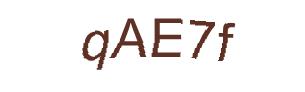 عبارت امنیتی