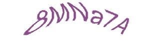 عبارت امنیتی