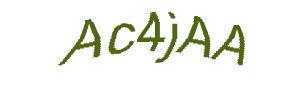 عبارت امنیتی