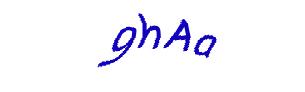 عبارت امنیتی