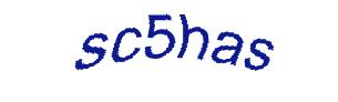 عبارت امنیتی