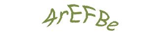 عبارت امنیتی