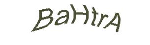 عبارت امنیتی