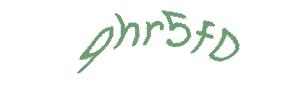 عبارت امنیتی