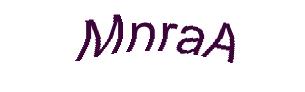 عبارت امنیتی