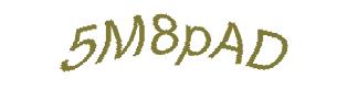 عبارت امنیتی