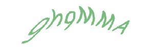 عبارت امنیتی