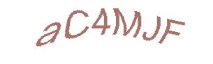 عبارت امنیتی