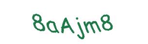عبارت امنیتی