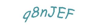عبارت امنیتی