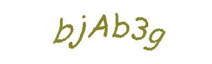 عبارت امنیتی