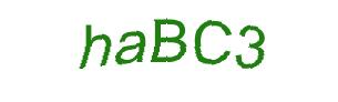 عبارت امنیتی