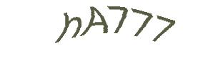 عبارت امنیتی