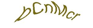 عبارت امنیتی
