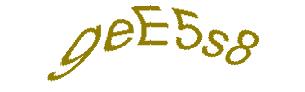 عبارت امنیتی