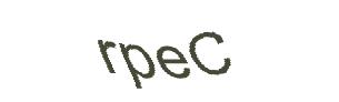 عبارت امنیتی