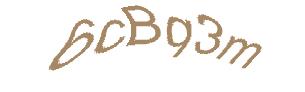 عبارت امنیتی
