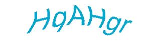 عبارت امنیتی