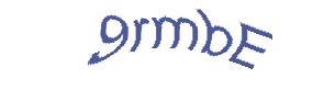 عبارت امنیتی