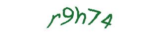 عبارت امنیتی