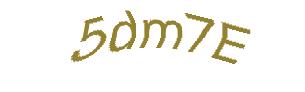 عبارت امنیتی